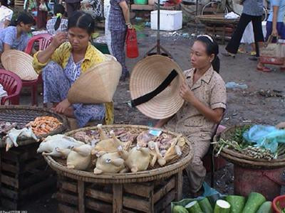 Nếu chủ quan, dịch cúm sẽ lại bùng phát
