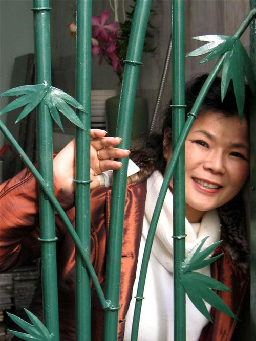 Hoạ sỹ Văn Dương Thành. Ảnh: Lan Anh Hoạ sỹ Văn Dương Thành. Ảnh: Lan Anh