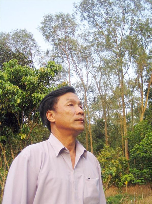 Ngóng cò về. Ảnh : PV