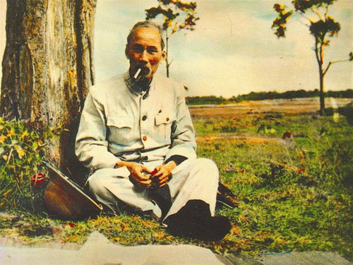 Bác nghỉ chân bên gốc thông tại Thái Nguyên, 1955