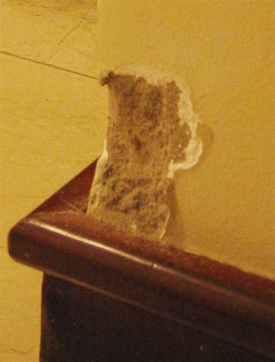 Căn hộ EA 305 của bà Nguyễn Thị Bình đã bong tróc nhiều chỗ