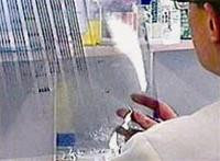 Các nhà khoa học so sánh gene khỉ với gene người