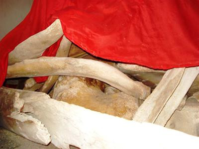 Cốt Ông Nam Hải Đại Dương tại Lăng Tân được xem là lớn nhất vùng. Ảnh: Nguyễn Huy Cốt Ông Nam Hải Đại Dương tại Lăng Tân được xem là lớn nhất vùng. Ảnh: Nguyễn Huy