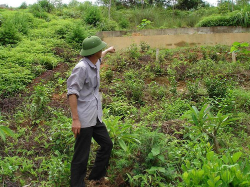 “Đây là 1.070 m2 đất và 33 ngôi mộ giả của bà nguyên Phó chủ tịch tỉnh...”- Nhân viên quản trang khẳng định với PV ảnh: Lê Thanh Hiền “Đây là 1.070 m2 đất và 33 ngôi mộ giả của bà nguyên Phó chủ tịch tỉnh...”- Nhân viên quản trang khẳng định với PV ảnh: Lê Thanh Hiền