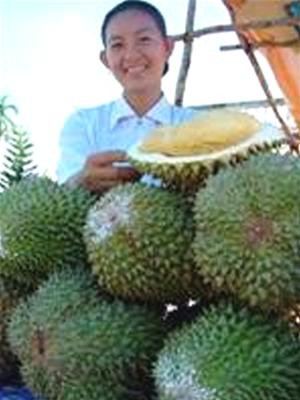 “Sầu riêng đi anh...” - một cô gái bán sầu riêng ở huyện Cai Lậy (Tiền Giang) mời khách - Ảnh: V.Tr. - Tuổi Trẻ.