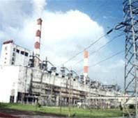 Công ty Nhiệt điện Phả có vốn điều lệ 3.107 tỷ đồng, số lượng cổ phần bán đấu giá là 72.896.500 cổ phần (cổ phần phổ thông), mệnh giá 10.000 đồng/cổ phần.