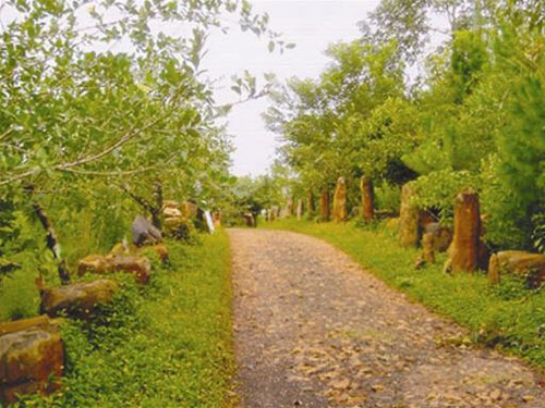 Đường vào CV đá Ngọc Châu