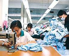 Ngành may mặc XK bị thiệt hại không nhỏ vì chưa có TTGDNPL