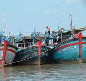 Đoàn tàu Bình Định đang neo tại Cảng Sông Đốc - Cà Mau sau chuyến đi đánh bắt xa bờ hàng ngàn cây số