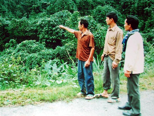 Ông Hạnh chỉ tay về nơi phát hiện ra dấu chân hổ