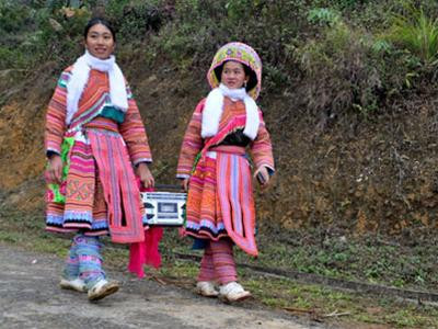 Ảnh chỉ có tính minh họa