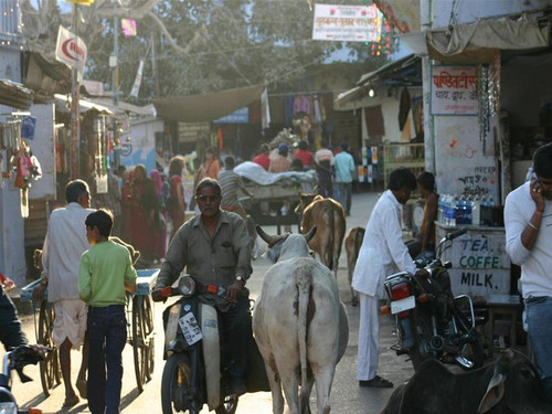 Rất khó tìm chỗ đỗ xe trong khu vực đông dân ở Ấn Độ ( Huy Linh) Rất khó tìm chỗ đỗ xe trong khu vực đông dân ở Ấn Độ ( Huy Linh)