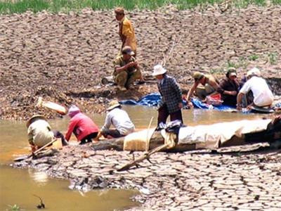 Đào đãi thiếc trái phép giữa ban ngày