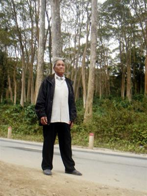 "Thần hộ rừng" dạo bước rừng săng lẻ