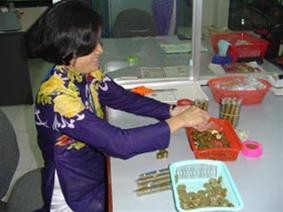 Đếm tiền kim loại tại Chi nhánh Ngân hàng Công thương tỉnh Bà Rịa-Vũng Tàu.