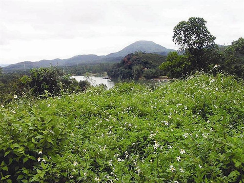 Khu vực Tây Nam đồi Vọng Cảnh được chọn để xây dựng khách sạn - phía bên kia sông là điện Huệ Nam.