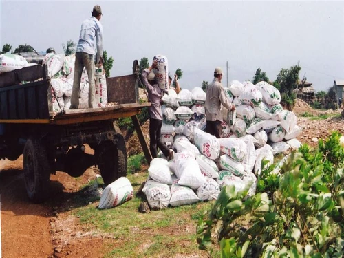 Vận chuyển diatomite đưa về chế biến thành phẩm