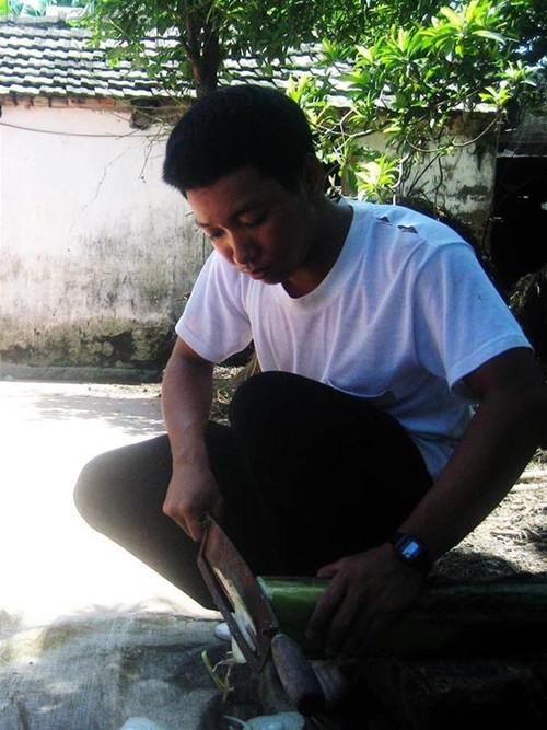 Ngọt thái chuối cho bò ăn