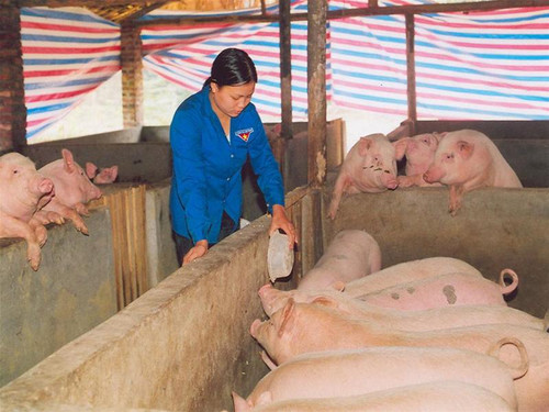 Lương Thị Mến, Bí thư chi đoàn xóm Cây Khế, xã Yên Đổ, Phú Lương, Thái Nguyên - Ảnh: Chí Cường Lương Thị Mến, Bí thư chi đoàn xóm Cây Khế, xã Yên Đổ, Phú Lương, Thái Nguyên - Ảnh: Chí Cường