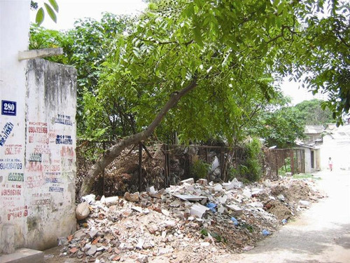 Sau 4 năm được giải tỏa trên 20.000m2 đất của Dự án công viên Đống Đa vẫn bị bỏ hoang