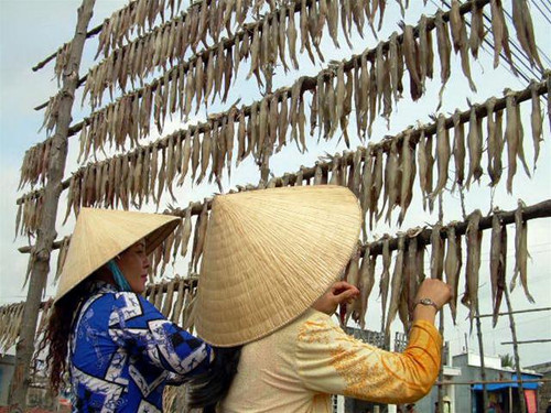 Phơi cá khô khoai ở cửa biển Cái Đôi Vàm (Phú Tân, Cà Mau). Ảnh: Nguyễn Tiến Hưng.