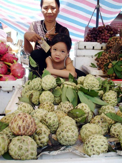 Na đầu mùa ở Chi Lăng