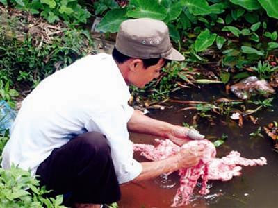 Dịch bệnh có thể lây lan khi thực phẩm được xử lý ở nguồn nước như thế này. Ảnh: Phạm Yên