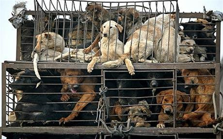 Hình minh hoạ. Ảnh: Reuters