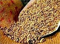 Từ đầu năm, Việt Nam đã xuất khẩu được 60.000 tấn hồ tiêu