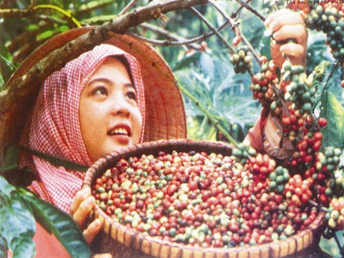 Sản xuất đang cần đầu ra và hy vọng nhiều vào xuất khẩu. Sản xuất đang cần đầu ra và hy vọng nhiều vào xuất khẩu.