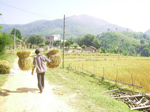 Cảnh thanh bình no ấm của bà con dân tộc Dao Cảnh thanh bình no ấm của bà con dân tộc Dao