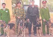 Chó nghiệp vụ đã sẵn sàng để bảo đảm an toàn cho APEC 14. (CAND)