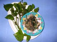 Ảnh: Lê Hoài Lương