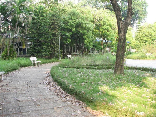 Một góc khuôn viên Hội trường Ba Đình Một góc khuôn viên Hội trường Ba Đình