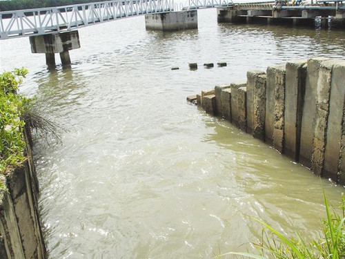 Nước thải của nhà máy Vedan xả ra sông Thị Vải Nước thải của nhà máy Vedan xả ra sông Thị Vải