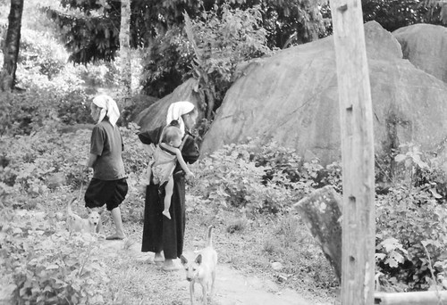 Phụ nữ ở Phá Lỏm địu con đi làm