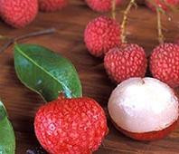 Việc chính thức đưa quả vải thiều vào hệ thống phân phối chuyên nghiệp sẽ phần nào gánh đỡ những khó khăn cho người nông dân.