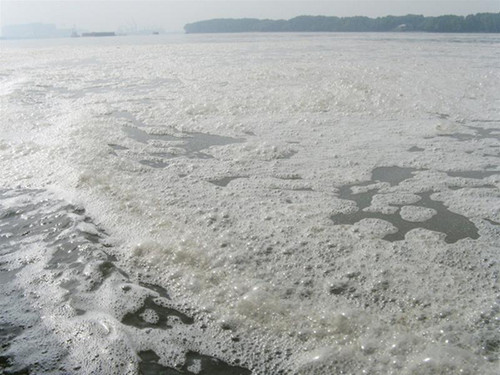 Nước sông Thị Vải bị ô nhiễm nặng nề khiến tôm cá không sống nổi