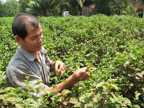 “Người nổi” - nông dân sản xuất giỏi của tỉnh