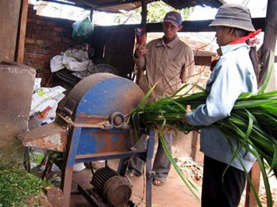 Chiếc máy thái cỏ do anh Xưởng cải tiến Chiếc máy thái cỏ do anh Xưởng cải tiến