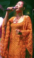 Nguyễn Hồng Nhung trong đêm ra mắt album “Niềm đau đã qua”