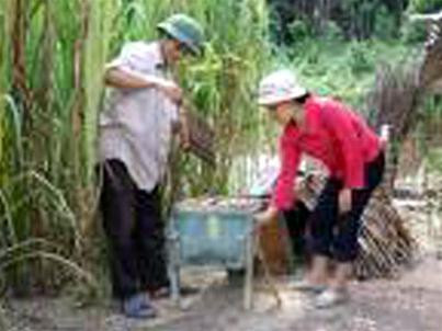 Vợ chồng anh Minh đang kiểm tra ong định kỳ