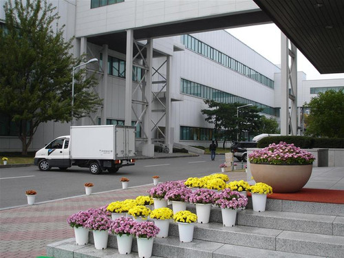 Hoa tươi đặt khắp nơi trong nhà máy sản xuất điện thoại di động của Samsung tại Gumi Hoa tươi đặt khắp nơi trong nhà máy sản xuất điện thoại di động của Samsung tại Gumi