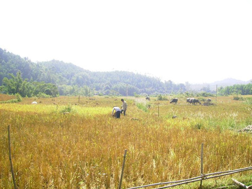 Ảnh: Phạm Thành Duy Ảnh: Phạm Thành Duy