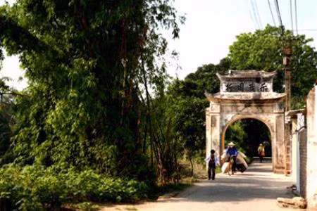 Ảnh minh họa