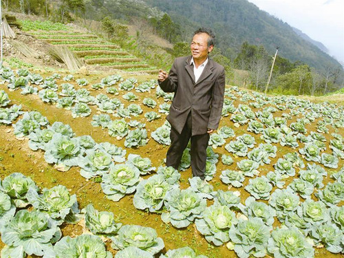 Ông Khế tại cơ sở rau siêu sạch (Bàn Khoang, Sa Pa). Ảnh: Nguyễn Hà