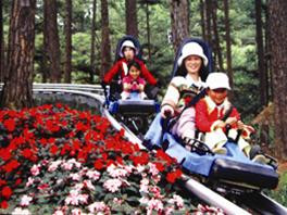 Máng trượt ống - Ảnh: LV