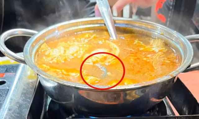Hà Nội: Đang ăn, thực khách phát hiện có rết dài 10cm trong nồi lẩu
