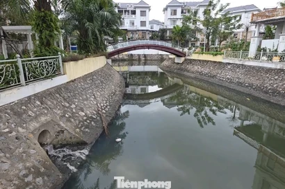 Cận cảnh ‘kênh khu nhà giàu’ ở Quảng Ninh ô nhiễm nặng