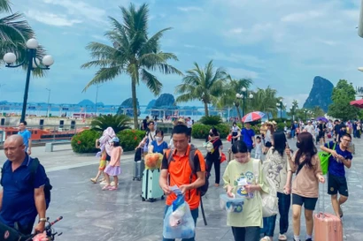 Lý do tàu cao tốc Vân Đồn, Cô Tô tăng giá, cắt chuyến 